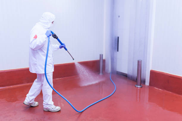 Best Playground Equipment Cleaning  in Biltmore, TN